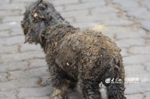 突發(fā)！青島一居民樓發(fā)生爆燃！已造1人死亡，7人受傷！3公里外有震感…