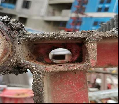 1613718990459045.jpg 7.jpg